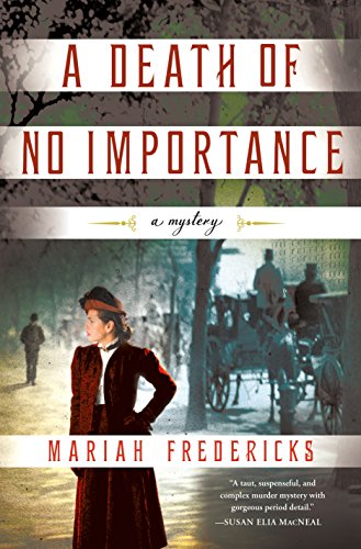 A Death of No Importance book cover