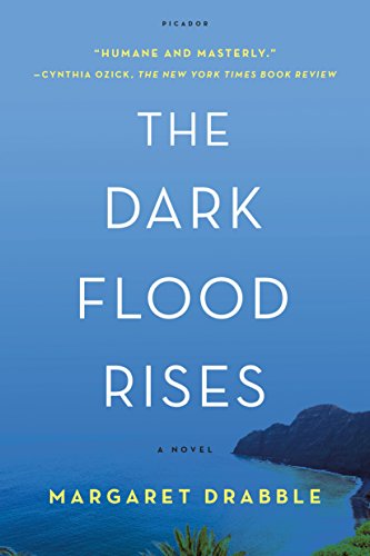 The Dark Flood Rises book cover