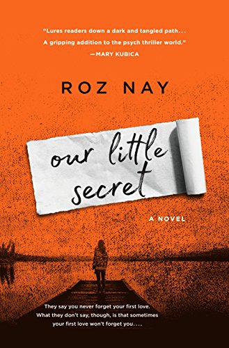 Our Little Secret book cover