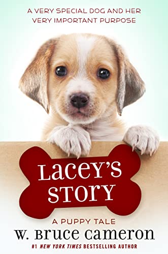 Lacey's Story book cover