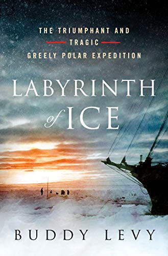 Labyrinth of Ice book cover