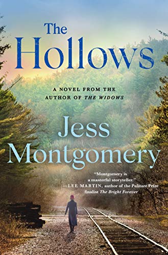 The Hollows book cover
