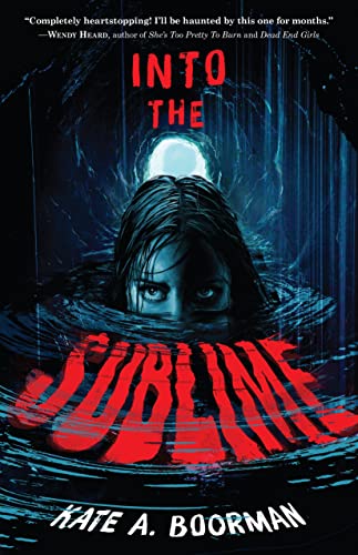 Into the Sublime book cover