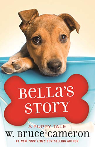 Bella's Story book cover