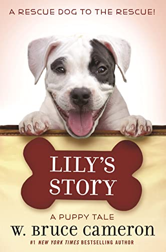 Lily's Story book cover