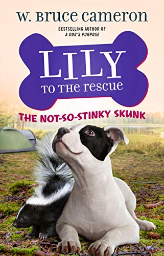 The Not-So-Stinky Skunk cover