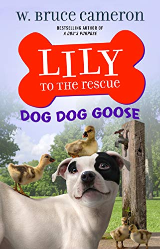 Dog Dog Goose book cover