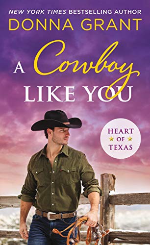 A Cowboy Like You book cover