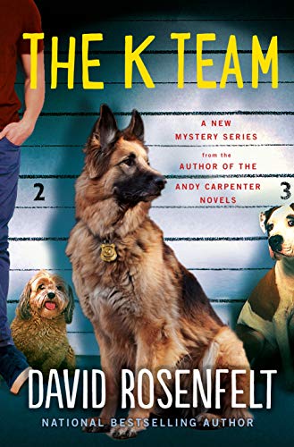 The K Team book cover