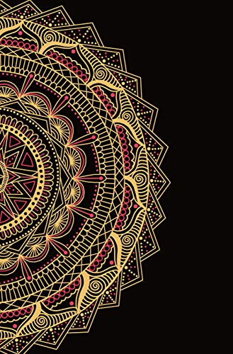 Awaken the Magic: A Children of Blood and Bone Journal book cover