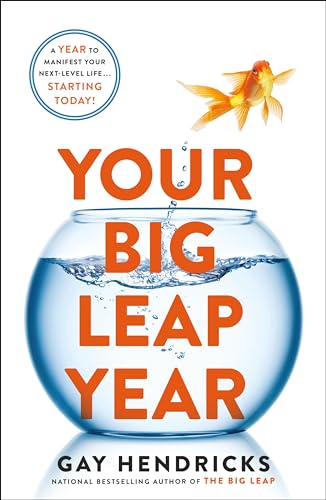 Your Big Leap Year book cover