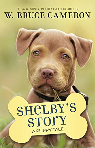 Shelby's Story cover