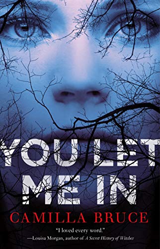 You Let Me In book cover