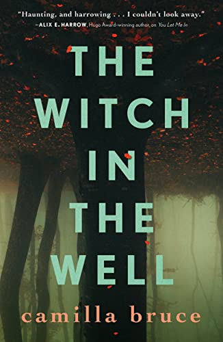Witch In The Well book cover