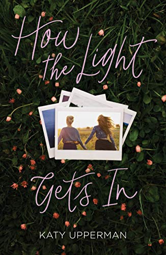 Cover of How the Light Gets In