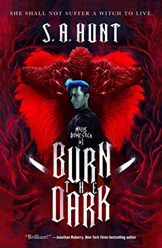 Burn the Dark book cover