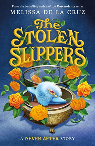 The Stolen Slippers book cover