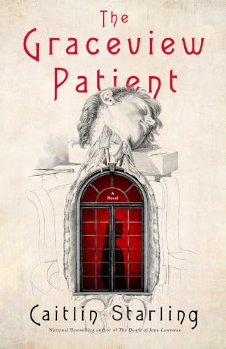 The Graceview Patient book cover