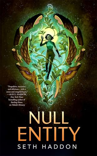 Null Entity