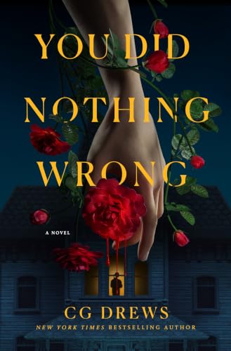 You Did Nothing Wrong book cover