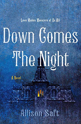 Down Comes the Night book cover