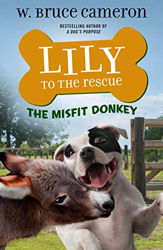 The Misfit Donkey book cover