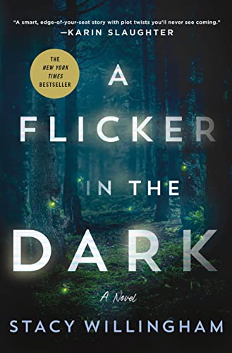 A Flicker in the Dark book cover