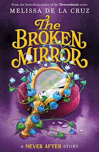 The Broken Mirror book cover