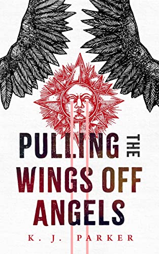 Pulling the Wings Off Angels book cover
