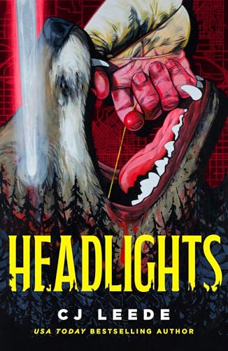 Headlights cover