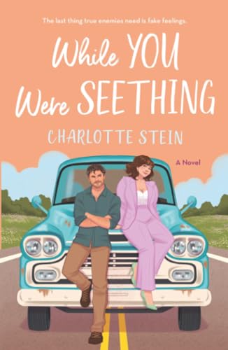 While You Were Seething