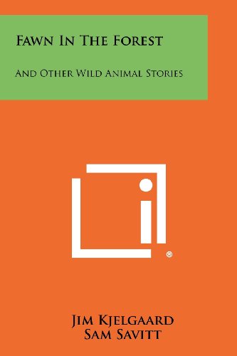 Fawn in the Forest book cover