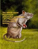 The African Giantpouched Rat Cricetomys Gambianus Its Physiology Ecology Care Taming