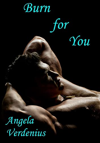Burn for You book cover