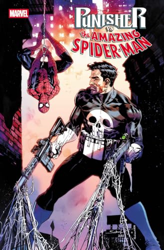 Punisher Vs. Spider-Man book cover