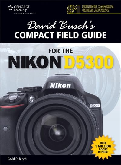 Compact Field Guide for the Nikon D5300 book cover