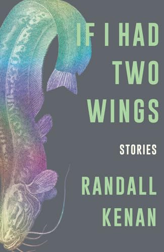If I Had Two Wings book cover