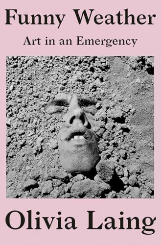 Funny Weather book cover