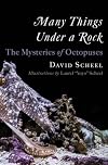 Many Things Under a Rock: The Mysteries of Octopuses