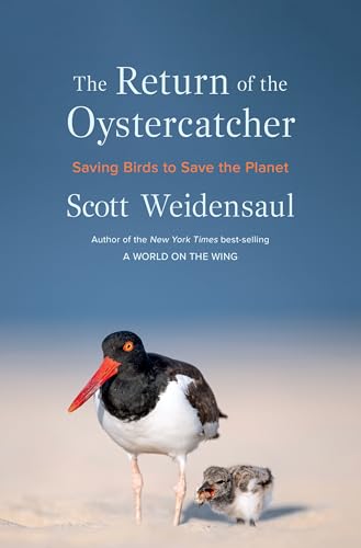 The Return of the Oystercatcher: Saving Birds to Save the Planet