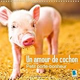 Un Amour De Cochon Petit Portebonheur 2015 Des Petits Cochons Portebonheur