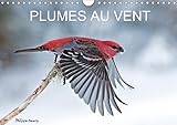Plumes Au Vent 2018: Des Oiseaux En Action Au Fil Des Quatres Saisons.