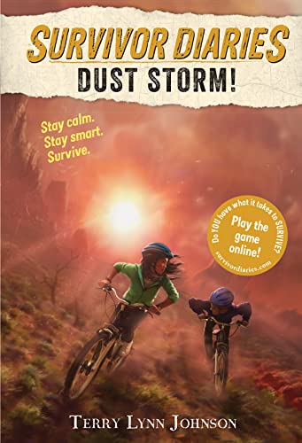 Dust Storm! book cover