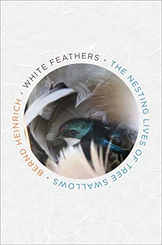 White Feathers book cover