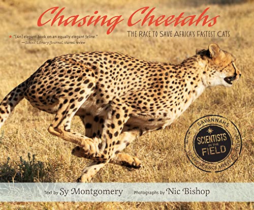 Chasing Cheetahs cover