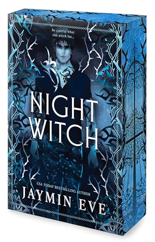 Night Witch book cover