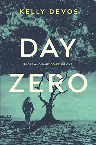 Day Zero book cover