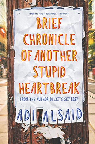 Brief Chronicle of Another Stupid Heartbreak book cover