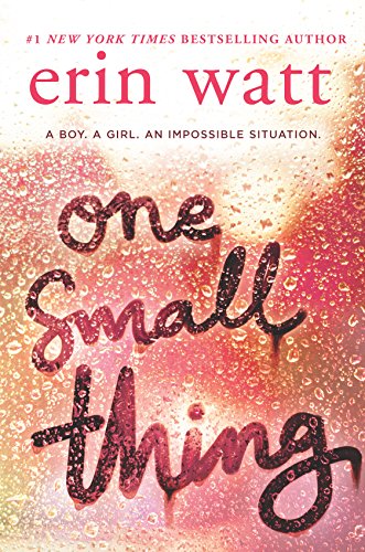 One Small Thing book cover