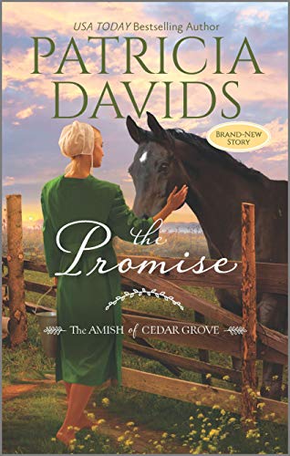 The Promise cover